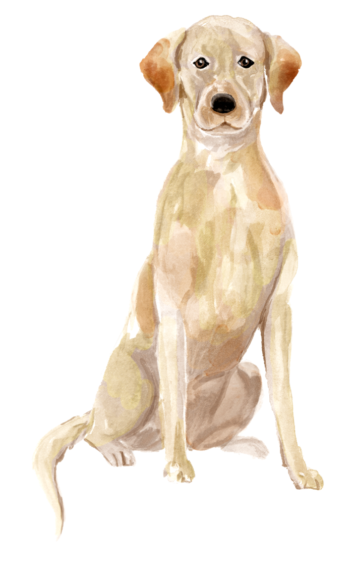 狗狗水彩画插画免扣素材可爱宠物狗