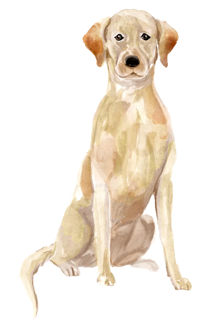 狗狗水彩画插画免扣素材可爱宠物狗