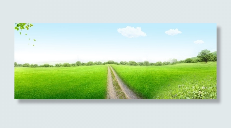 草原小路天空背景墙