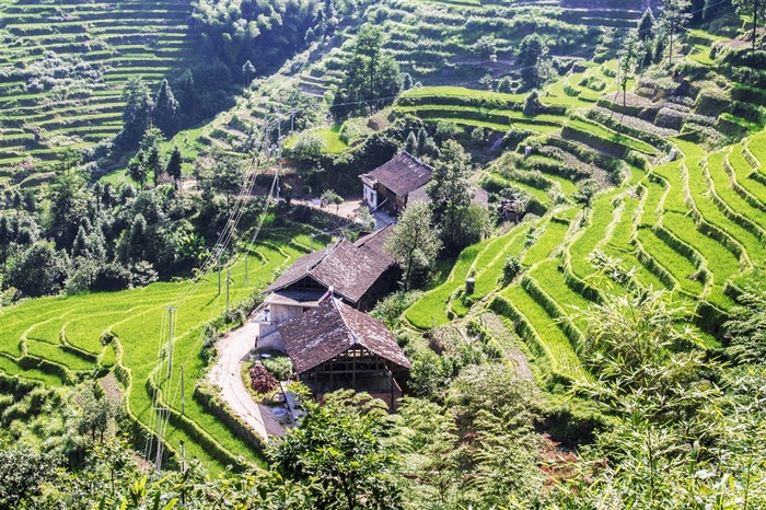 湖南紫鹊界梯田风景素材图片