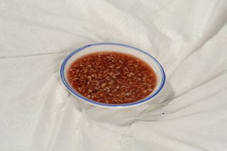 7北极冰虾 东北饺子园