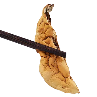 野生菌1超市商品白底图免抠实物摄影png格式图片透明底