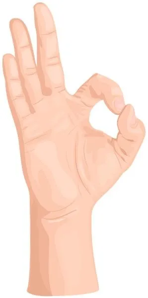 好的手 PNG免抠(298x600)