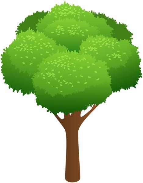树PNG免抠(469x600)
