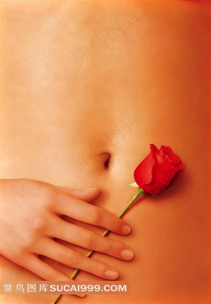 放在腹部上的玫瑰花创意海报