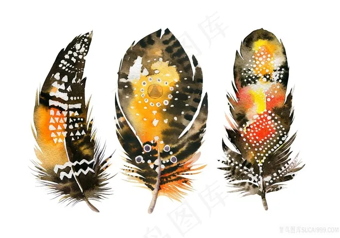 动物羽毛样式高清