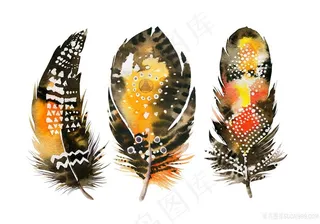 动物羽毛样式高清