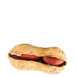 免扣png花生 