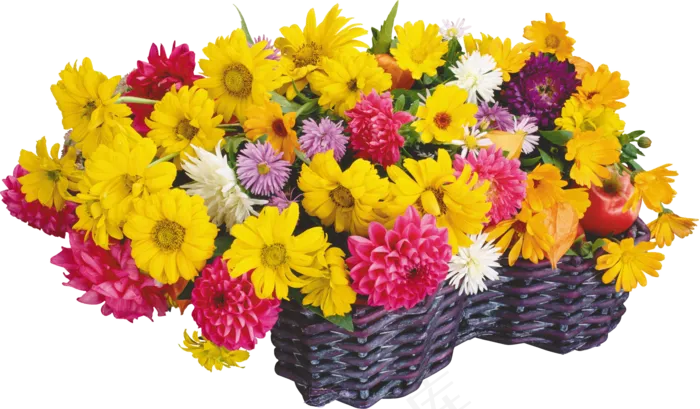 花饰和花束 