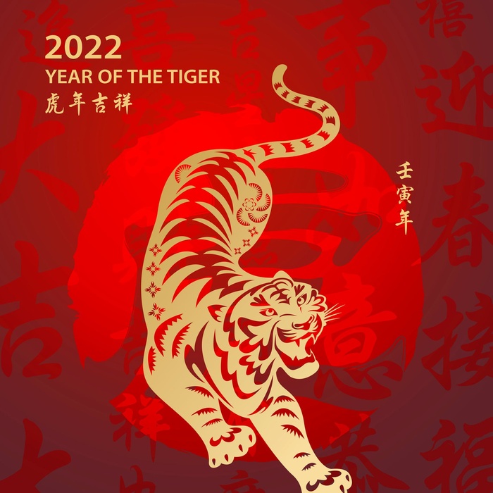红色背景剪纸虎年吉祥海报