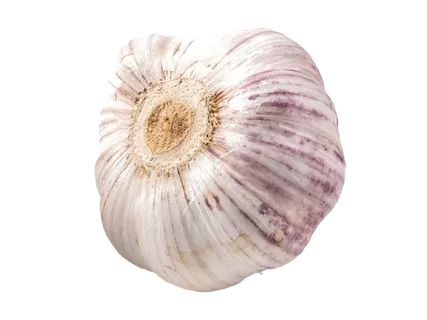 158大蒜超市商品白底图免抠实物摄影png格式图片透明底