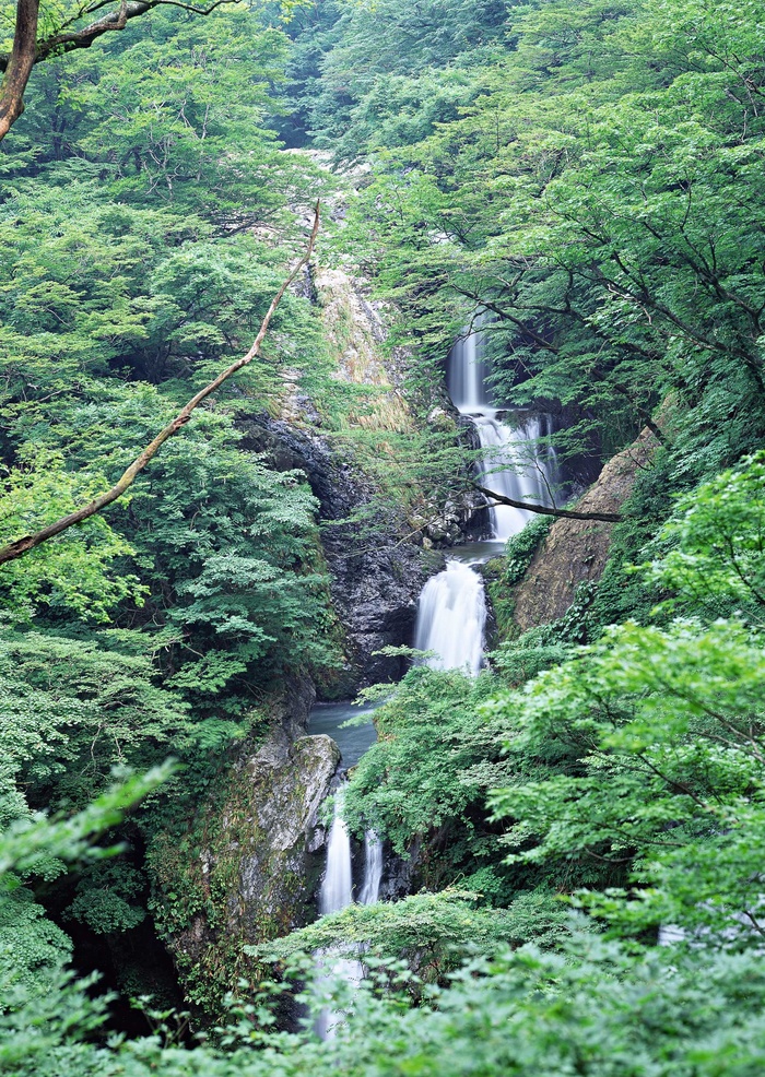 绿树山水 213