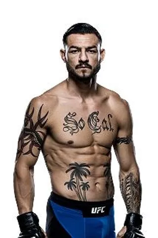 终极格斗冠军赛 PNG免抠