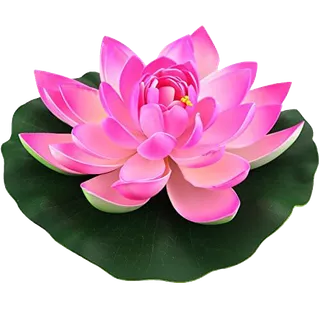 荷花素材 免抠 荷花 复古 中国风 莲花 荷叶 绿色