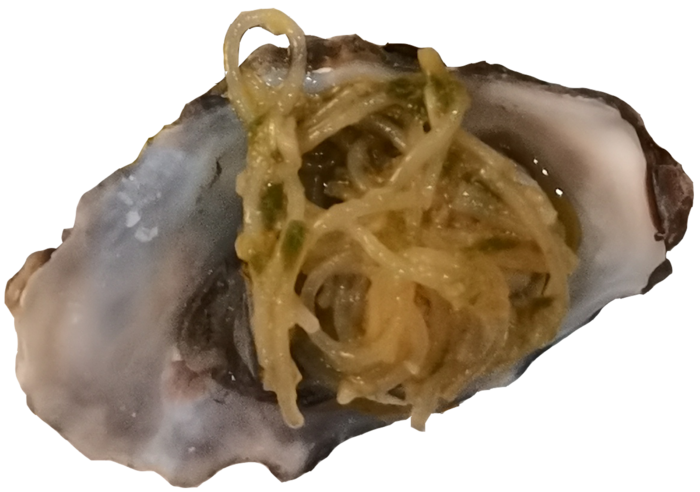 清蒸海鲜高压锅蒜蓉生蚝免抠摄影高清元素实拍