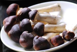 蘑菇香菇金针菇杂菇菌类美食素菜