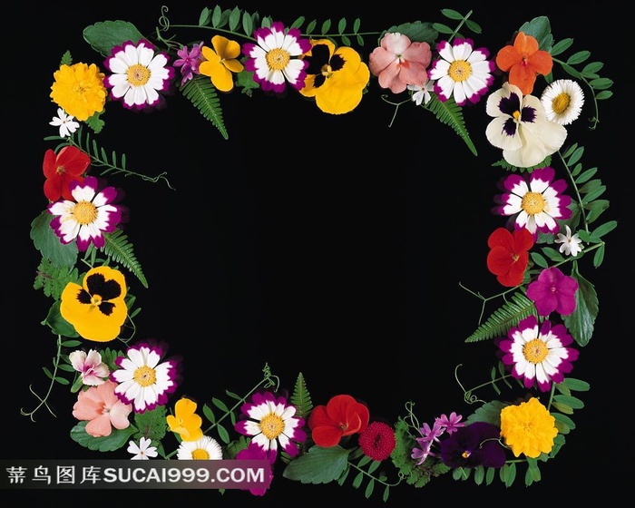 黑色背景鲜花组成的花边