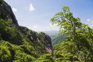安徽黄山风景图片-第63张