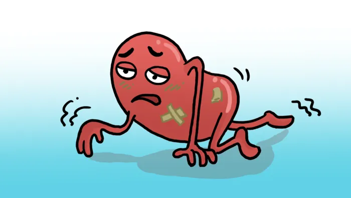 生病的肾脏肾衰竭手绘psd模版下载