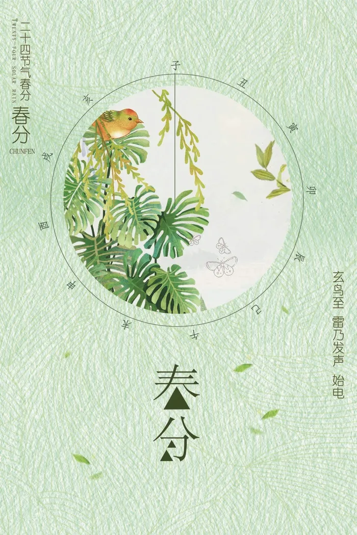 春分 春分促销海报psd模版下载