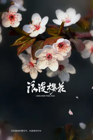 春天旅游清新创意樱花节海报