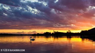 黄昏湖畔美景壁纸