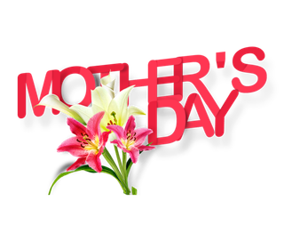 母亲节红色英文鲜花艺术字体