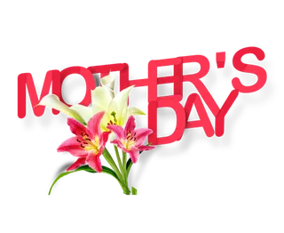 母亲节红色英文鲜花艺术字体