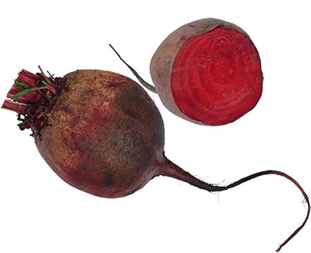 甜菜 PNG免抠(450x367)