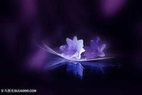 高清唯美梦幻鲜花图片