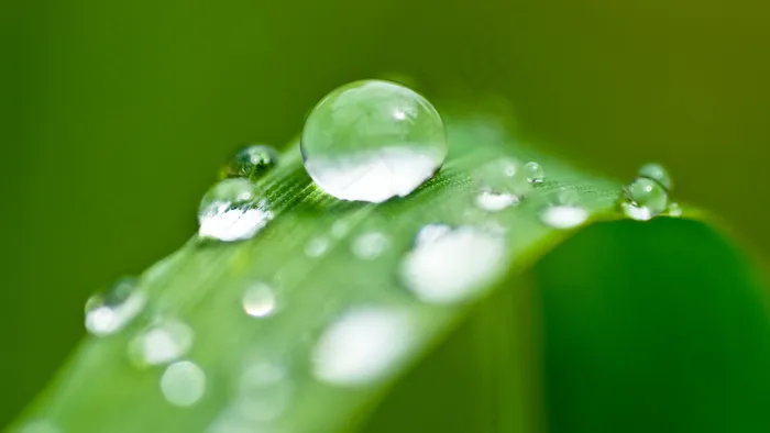 水珠     