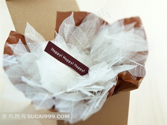 盒子树叶素材图片