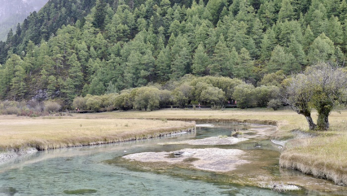 亚丁洛绒牛场草地雪山融水