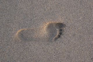 海滩沙滩脚印图片