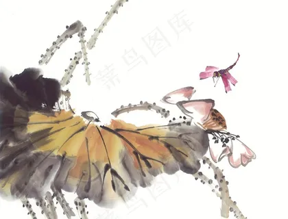 昆虫花草绘画图片素材