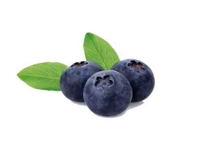 免抠蓝莓，水果，新鲜水果，绿叶