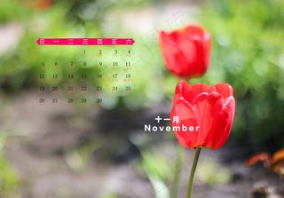 2017年十一月日历图片