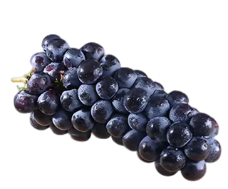 黑皮葡萄素材，葡萄免扣素材