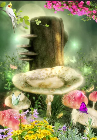 美丽花卉花草背景玄关