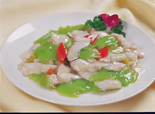 CXC04439爽口生鱼片滑凉瓜  48