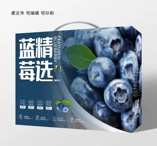 包装盒精选蓝莓礼盒设计