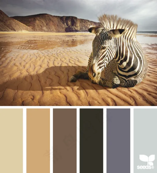 动物配色色卡色彩搭配 动物配色色卡色彩搭配