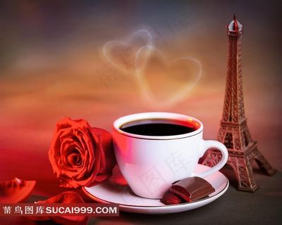 咖啡吧玫瑰花埃菲尔铁塔素材