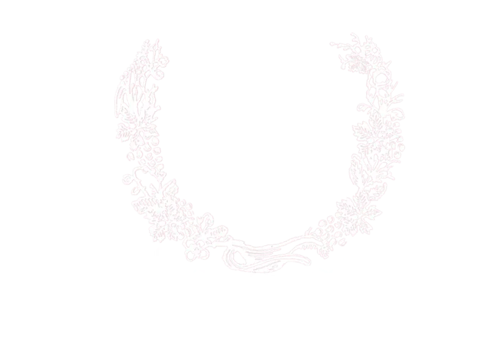装饰花边免扣素材