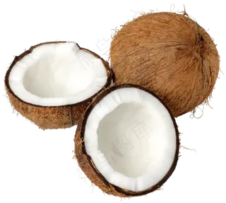 椰子免抠素材 (18)