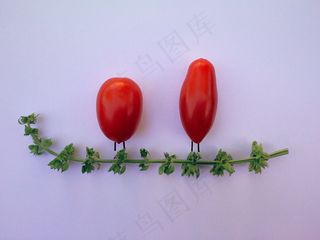 西红柿拼贴画图片