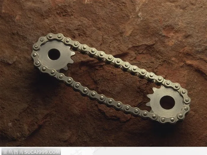 齿轮 链条