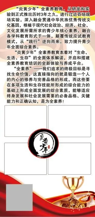 跆拳道简介 跆拳道展架psd模版下载
