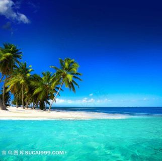 蓝天下的美丽海滩风景图片