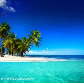 蓝天下的美丽海滩风景图片